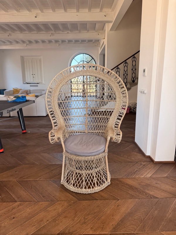 Peacock chair, white rattan